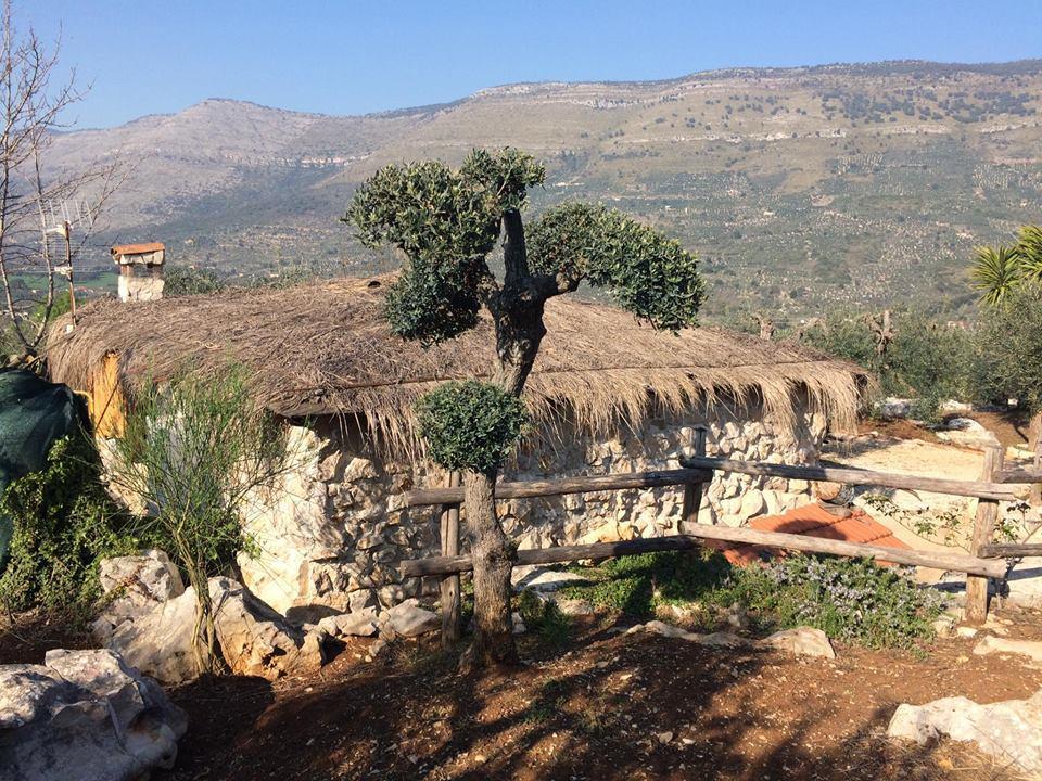 Le Capanne Di Villa Margherita Sonnino Eksteriør billede