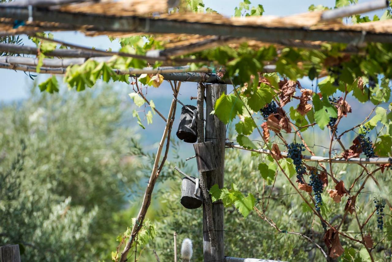 Le Capanne Di Villa Margherita Sonnino Eksteriør billede