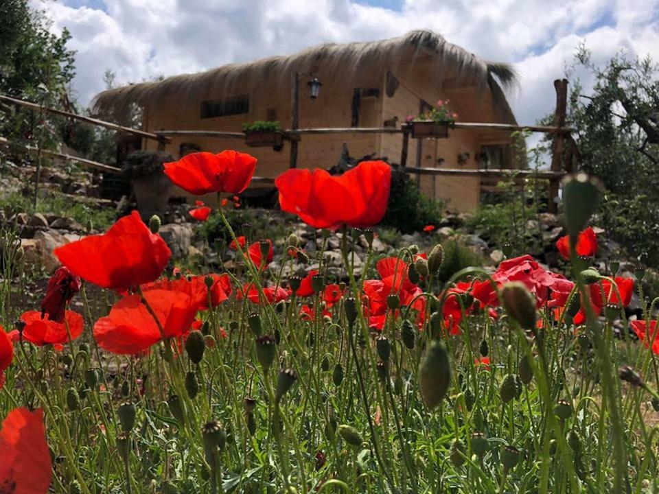 Le Capanne Di Villa Margherita Sonnino Eksteriør billede